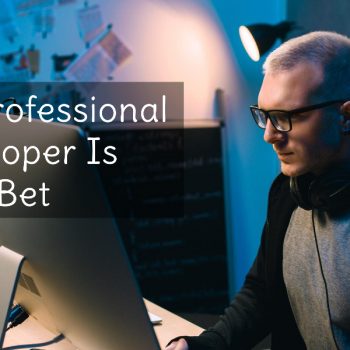 Hiring a Professional Web Developer Is Your Best Bet Hiring a Professional Web Developer Is Your Best Bet